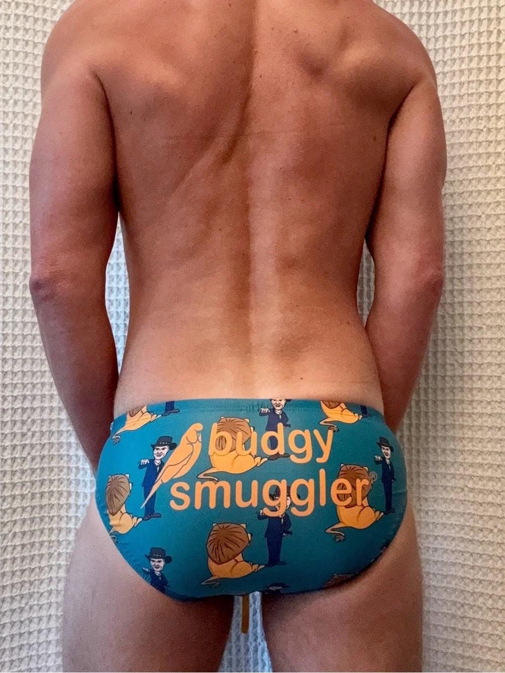 Budgy Smuggler Schmidt Dundee | 30” Waist | Teal & Lion